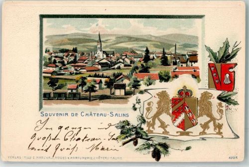 Chateau-Salins 1902 Wappen Bahnhof Eisenbahn Bahnpost Saargemünd-