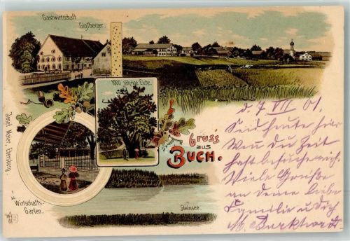 85656 W8011 Buch a. Buchrain 1901 - Steinsee Gasthaus Giglberger 1000 jährige Eiche