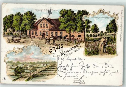 29229 W3100 Meißendorf 1901 Lithographie Gasthaus Haselmann Heideweg Heidschnucken Schäfer Karpfenteich