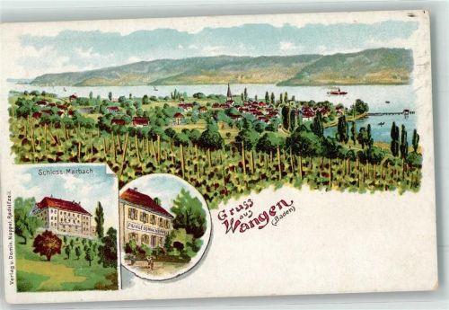 Wangen Schloß Marbach Bodensee Weinberge