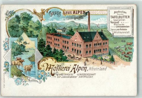 46519 W4234 Alpen Lithographie Molkerei Alpen Kühe Rinderweide