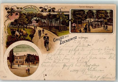 Bitterfeld 1900 Zöckeritz Forstmeisterei Waldhaus Fahrrad Kühe