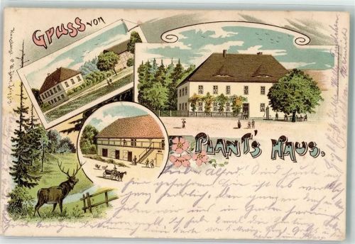 04880 O7294 Dommitzsch 1900 Lithographie Plants Haus Hirsch Ort lt. Stempel