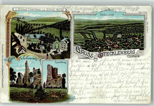 06507 O4301 Stecklenberg 1901 Lithographie Ruine Stecklenburg Pferdeweide Gasthaus zum Grünen Walde