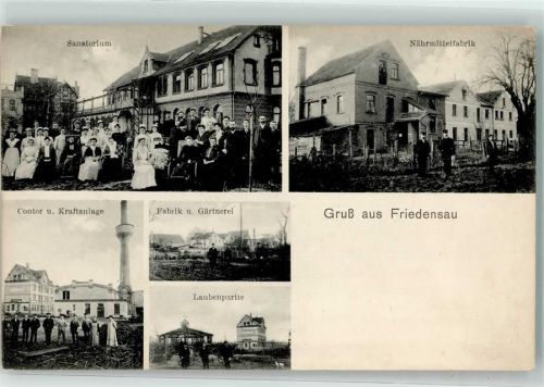 39291 O3272 Friedensau Foto AK Fabrik u. Gärtnerei Sanatorium Nährmittelfabrik Laubenpartie
