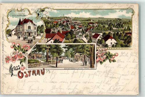 Ostrau 1901 Gasthaus zum wilden Mann Gartenwirtschaft