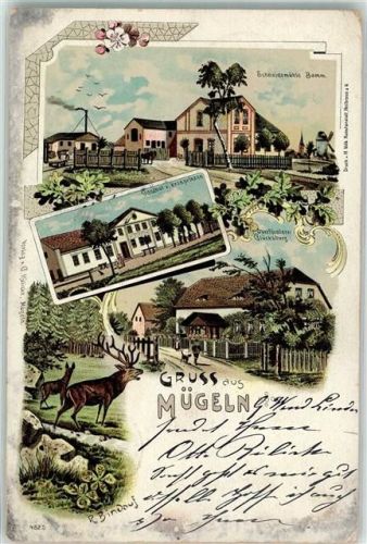 04769 O7263 Mügeln b Oschatz 1902 Lithographie Schneidemühle Gasthaus zum Kronprinzen Hirsch Oberförsterei