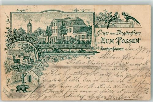 Sondershausen 1899 Vorläufer Jagdschloß zum Possen Pfaue Rehe Bärenzwinger Lithographie