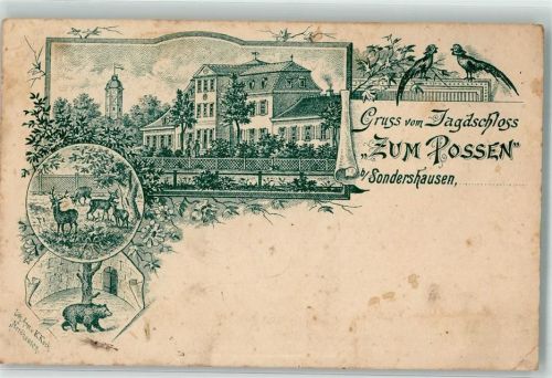 Sondershausen Vorläufer Druck um 1880-89 Jagdschloß Zum Possen Pfaue Rehe Bärenzwinger