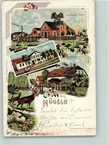 04769 O7263 Mügeln b Oschatz 1904 Lithographie Hirsch Hirschkuh Gasthaus zum Kronprinzen Schneidemühle Oberförsterei sign. R. Bindauf
