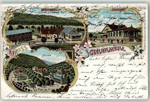 06493 O4301 Alexisbad 1903 Lithographie Etablissement Schneidemühle Alexisbad