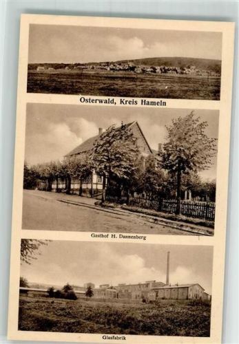 31020 W3216 Osterwald b Elze, Leine Foto AK Glasfabrik Gasthaus Dannenberg
