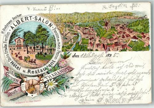 Tharandt 1895 Hotel Gasthaus Albert Salon H. Buchmann Hirsch Vorläufer