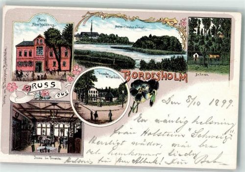 Bordesholm 1899 Hotel Alter Haidkrug Amtshaus Kirche Insel Bellevue Pavillon Veranda