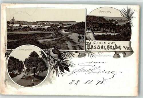 Hasselfelde 1898 Vorläufer Breite Straße Singvogel Rabenstein