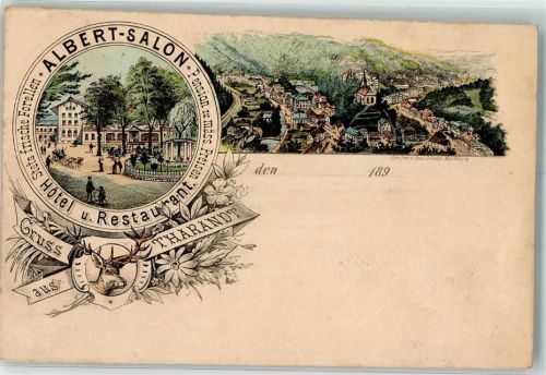 Tharandt 1890 Hotel Gasthaus Albert Salon Hirsch Vorläufer
