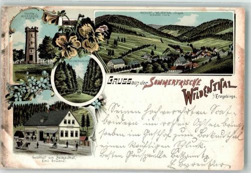 Wildenthal 1898 Aussichtsturm Auersberg Gasthaus zum Bockauthal Zigeunergrund