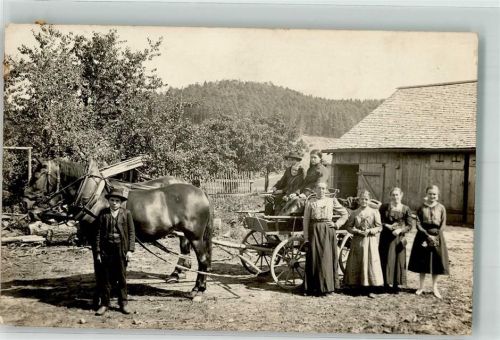 Falkenstein Bauernfamilie Pferdekutsche Scheune Ort handschriftlich