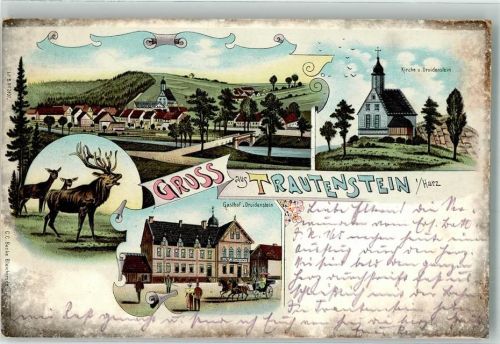 38899 O3721 Trautenstein 1916 Lithographie Hirsch Rehkühe Kirche Gasthaus zum Druidenstein