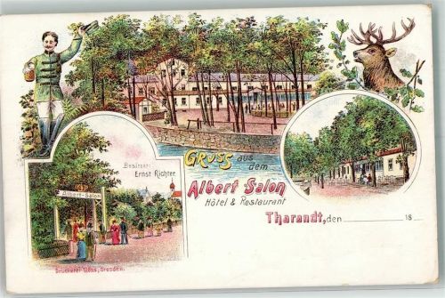 Tharandt Hotel Gasthaus Albert Salon Ernst Richter Hirsch