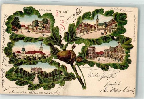 Sommerfeld 1901 Eichenblatt Schloß Friesenhöhe Bahnhofstraße Nicolaikirche