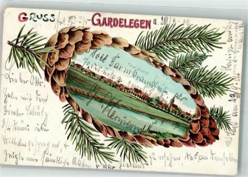 Gardelegen 1906 Tannenzapfen Bahnpost Berlin-Hannover Zg. 215