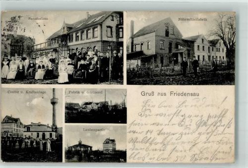 39291 O3272 Friedensau 1911 - Sanatorium Gruppenfoto Nährmittelfabrik Contor Kraftanlage Fabrik Gärtnerei Laubenpartie