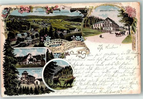 08359 O9431 Oberrittersgrün 1905 Lithographie Hammerberg Brückners Gasthaus Gasthaus Ludmilla Patsch Unterkunftshaus auf dem Fichtelberg Hirsch