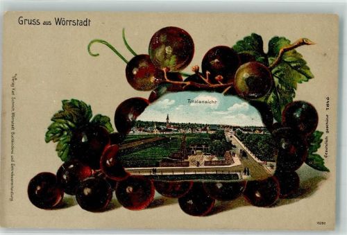 Wörrstadt 1919 Passepartout Weintrauben Lithographie