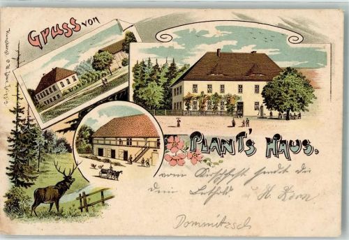 04880 O7294 Dommitzsch 1909 Lithographie Plants Haus Hirsch Ort handschriftlich