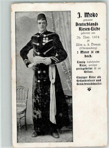 Ulm J. Moko genannt Deutschalnds Riesen-Eiche