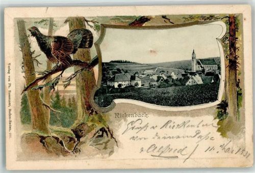 79736 W7884 Rickenbach , Hotzenw Prägedruck Passepartout Auerhahn Lithographie