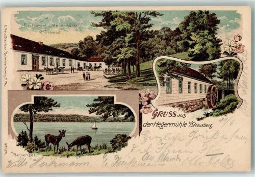 15344 O1260 Strausberg 1905 Lithographie Gasthaus Zur Hegermühle R. Schmidt Herrensee Rehe