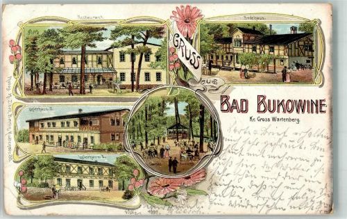 Bukowin 1905 Gasthaus Badehaus Logierhaus I und II Lithographie