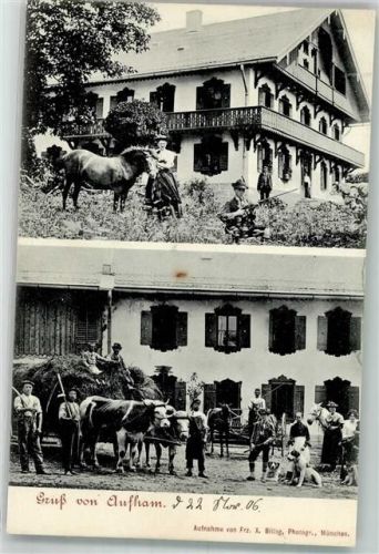 83620 W8152 Aufham b feldkirchen -westerham 1906 Foto AK Bauerhof Rinderfuhrwerk Junge mit Gewehr Berhardiner Pony