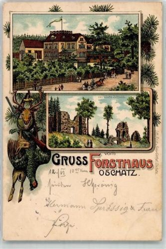 04758 O7260 Oschatz 1905 Lithographie Forsthaus Auerhahn Hase Hirsch Jagdtiere Hüttenstempel