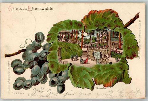 16225 O1300 Eberswalde 1902 Lithographie Wasserfall Gasthaus Passepartout Traube