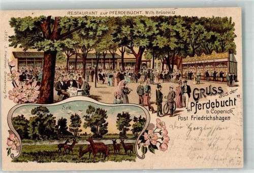 Köpenick 1908 Gasthaus zur Pferdebucht Garten Schießbuden Wildwiese