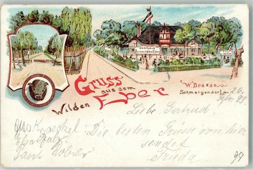 Schmargendorf 1899 Gasthaus Wilder Eber