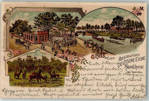 10115 W1000 Haselhorst 1903 Lithographie Wildwiese Gasthaus Deutsche Eiche