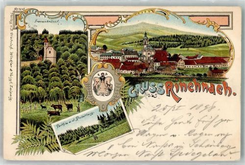 94269 W8371 Rinchnach 1898 Lithographie Frauenbrünnl Rinderweide Farne Probstberg Wappen