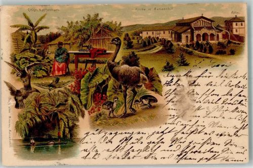 Durban 1902 Kirche Mariannhill Vogel Strauss