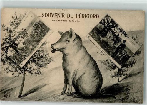 24550 Villefranche-du-Perigord 1902 - Trüffelschwein Trüffelsucher