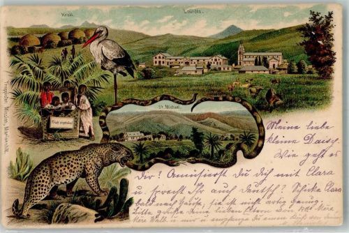 Durban 1904 Mariannhill Trappisten Mission Leopoard Lourdes Storch Kraal