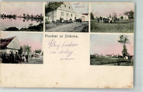 Burg Zvikov 1920