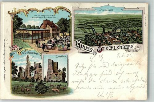 Stecklenberg 1901 Ruine Stecklenburg Wildwiese Lauenburg Gasthaus zum Grünen Walde