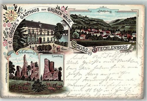 06507 O4301 Stecklenberg 1899 Lithographie Ruine Stecklenburg Wildwiese Lauenburg Gasthaus zum Grünen Walde