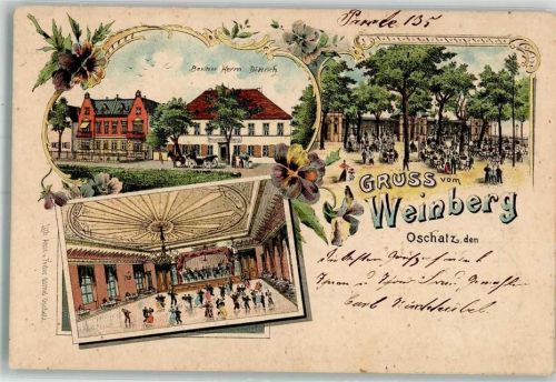 Oschatz 1901 Lithographie Gasthaus Weinberg Garten Ballsaal
