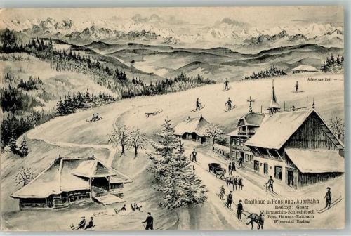 79650 W7860 Raitbach im Wiesental 1917 - Gasthaus zum Auerbahn Rodelschlitten Skiläufer Pferdegespann Berghütte