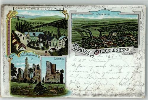 06507 O4301 Stecklenberg 1902 Lithographie Ruine Stecklenburg Wildwiese Lauenburg Gasthaus zum Grünen Walde